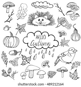 Big vector autumn set with  leaves, mushrooms, hedgehog, bird, natural icons. Forest design elements for greeting card. Natural collection in doodle style.