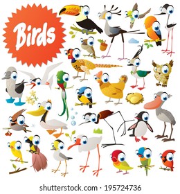 Big vector birds set