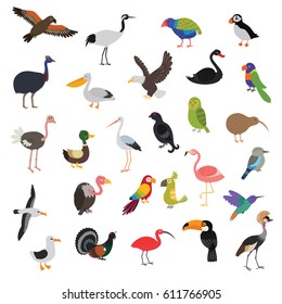 Big Vector Birds Set