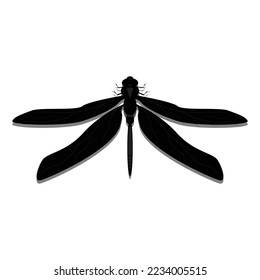 Big Vector Black Dragonfly Insect