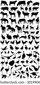 big vector collection of all domestic detailed farm animals silhouettes