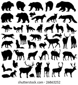 Big Vector Collection Of Forest Animals Silhouette