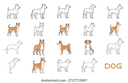 Grande vetor colorido conjunto de diferentes raças de cães isolados no fundo branco.