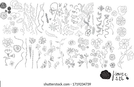 Big vector flowers set. Collection of hand drawn flowers, stems and branches.