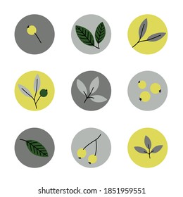 Big vector highlights cover icon set for social media stories. Leaves and brightly colored berries icons. Hand drawn round templates for contemporary bloggers.