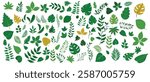 Big vector leaves collection - Set or bundle of leaf objects in various design graphics elements with green beautiful bright autumn colours on simple white background