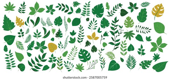 Big vector leaves collection - Set or bundle of leaf objects in various design graphics elements with green beautiful bright autumn colours on simple white background