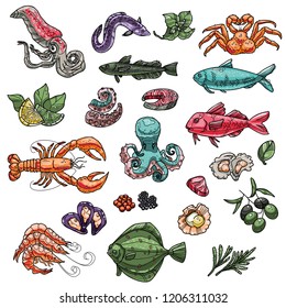Big vector seafood set. Collection of isolated menu items for restaurants including tuna, crab, oyster, hake, octopus, shrimp etc.