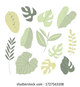 Big vector set of abstract tropical leaves. Cartoon exotic leaves. Perfect for poster, textile, wrapping paper, stickers