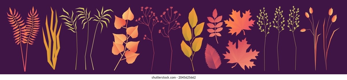 Große Vektorgrafik von Herbstblättern und Gras auf dunkelviolettem Hintergrund. Herbstblätter und Kräutergrafik. Fern, Sedge, Spikelets, Leinen, Aspen, Akazie, Asche, Ahorn, Wiese Bluegrass.