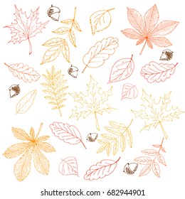 A big vector set of autumn leaves. Hand drawn vector fall of the leaves illustration. Autumn leaves draw the outline. Sketch, design elements. Doodles.