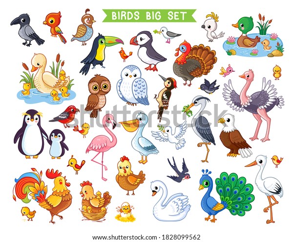 Big\
vector set with birds in cartoon style. Vector collection with\
birds in children\'s style on a white\
background.\
