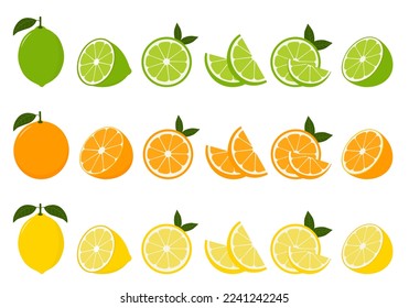Big vector set of citrus fruits.Orange,lemon and lime icons on white background