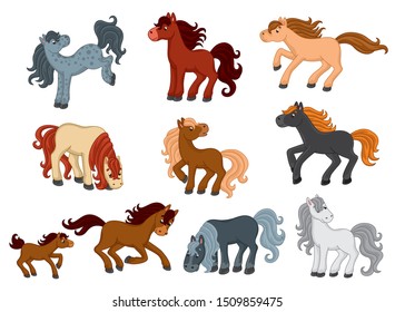 
Big vector set with cute horses. Vector cartoon pony. Vector illustration for children 