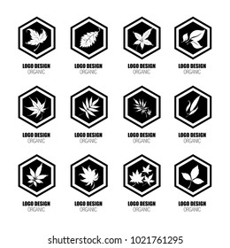 Big vector set of design elements for organic natural logos. Logotype based on tree, plants, flowers, organic.