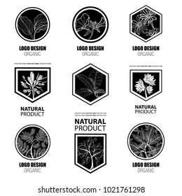 Big vector set of design elements for organic natural logos. Logotype based on tree, plants, flowers, organic.