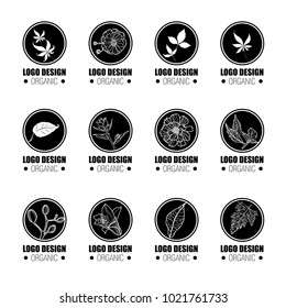 Big vector set of design elements for organic natural logos. Logotype based on tree, plants, flowers, organic.