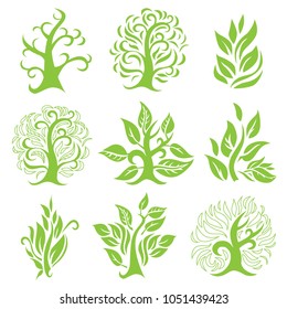 Big vector set of design elements for organic natural logos. Logotype based on tree, plants, flowers, organic.