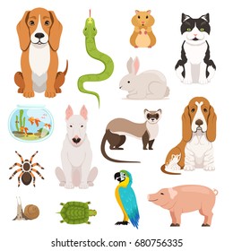Big vector set of different domestic animals. Cats, dogs, hamster and other pets in cartoon style