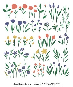 Big vector set of different flower elements. Garden decorative plants illustration. Collection of separate beautiful spring and summer herbs and flowers