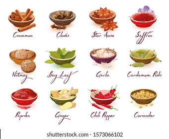 Big vector set with different kinds of spices, herbs, condiments, additives cinnamon, nutmeg, paprika, cloves, bay leaves, ginger, star anise, garlic, chili pepper, saffron cardamom pods coriander