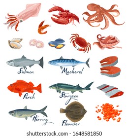 Big vector set with different varieties of marine fishes and seafood specialties, delicacies. Underwater inhabitants, animals. Lettering. Cartoon collection isolated on white background.