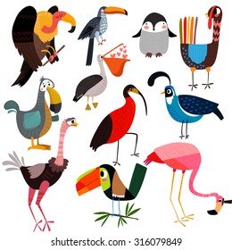 Big vector set  of different wild birds-vulture,penguin, pelican, turkey, toucan, flamingo, ostrich, ibis,dodo and other