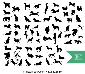 The big vector set of dog breeds silhouettes and icons. 