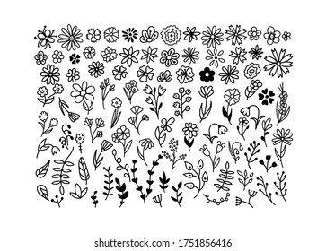 Big vector set of doodle flowers. A bunch of flowers. Black and white hand-drawn. A sketch of bouquets, romantic leaves. Isolated on white background.