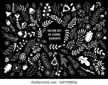 Big vector set of floral elements
