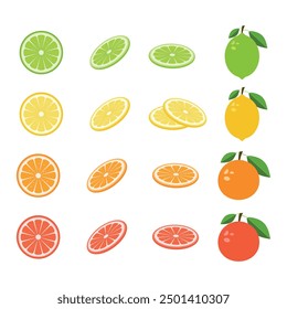 Großes Vektorset mit frischen, leckeren Zitrusfrüchten. Limette, Zitrone, Orange und Grapefruit auf weißem, isoliertem Hintergrund. Sommer Früchte Scheiben Sammlung.