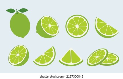 Big vector set of fresh limes. Lime fruit isolated on blue background. Vector illustration for design and print