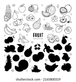 Big vector set with fruits and decorations, black outlines and shadow silhouettes isolated on white background
