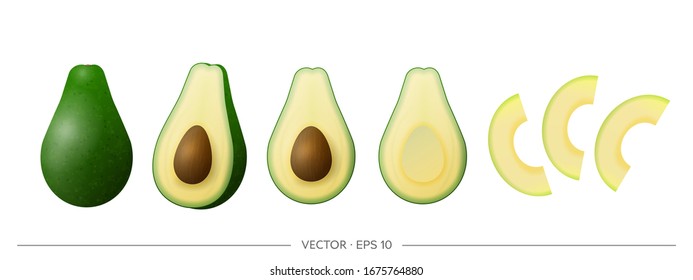 Big vector set of green avocado. Realistic avocado isolated on a white background.