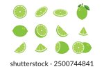 Big vector set of green fresh lime icon. Lime fruits on white isolated. Lime slices collection