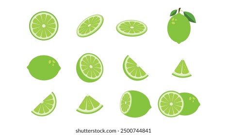 Big vector set of green fresh lime icon. Lime fruits on white isolated. Lime slices collection