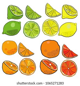 Big vector set of hand drawn citrus fruits. Sketch illustration of lime, lemon, orange and grapefruit. Whole, half, quarter and slice.