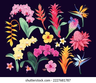 Big vector set of high detailed tropical flowers