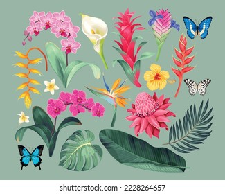 Big vector set of high detailed tropical flowers