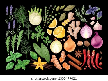 Big vector set of high detailed spices