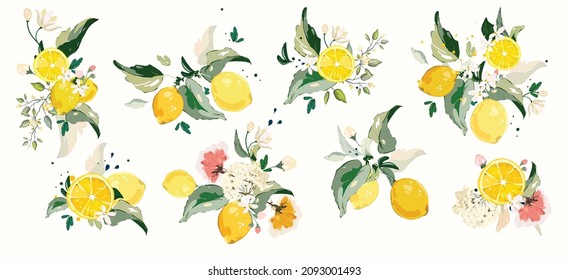 Big Vector Set Of Lemon Branch. Flower, Green Leaves. Fruit And Splashing Juice. Arrangements 