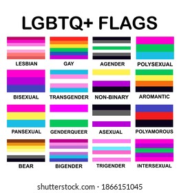 Big vector set of LGBTQ+ community different pride flags: lesbian, gay, transgender, bisexual, pansexual, genderqueer, asexual. Sexual identity, lgbt rights concept. Flat isolated stock illustration.
