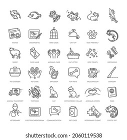 Big vector set, Outline web icon set - pet, vet, pet shop, types of pets