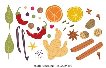 Gran conjunto de Vector de especias culinarias populares. Jengibre, chile, nuez moscada, anís y clavo. Para la tienda de cosméticos y spa cuidado natural de la salud. Puede ser utilizado como diseño del logotipo, etiqueta del Precio y etiqueta. 