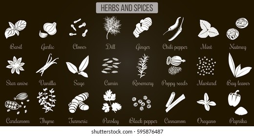 Big vector set of popular culinary herbs and spices White Silhouettes on black. Basil, coriander, cloves, ginger, mint, bay, nutmeg, rosemary, sage, thyme, parsley, oregano, dill. Cooking collection