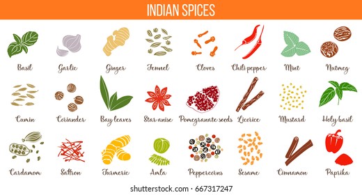 Big vector set of popular culinary spices silhouettes. Ginger, chili pepper, garlic, nutmeg, anise etc.