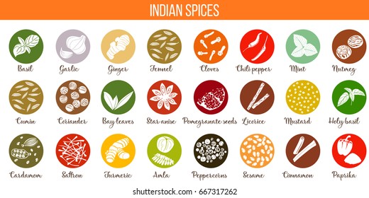 Big vector set of popular culinary spices silhouettes. Ginger, chili pepper, garlic, nutmeg, anise etc.