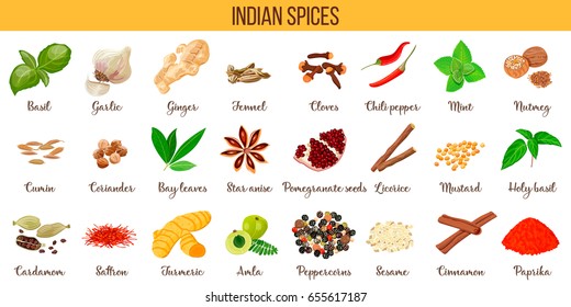 Big vector set of popular indian spices. Ginger, Cloves, Nutmeg, Cumin, Star anise, Holy basil, Cardamom, Saffron, Turmeric, etc. Can be used as logo design, price tag, label