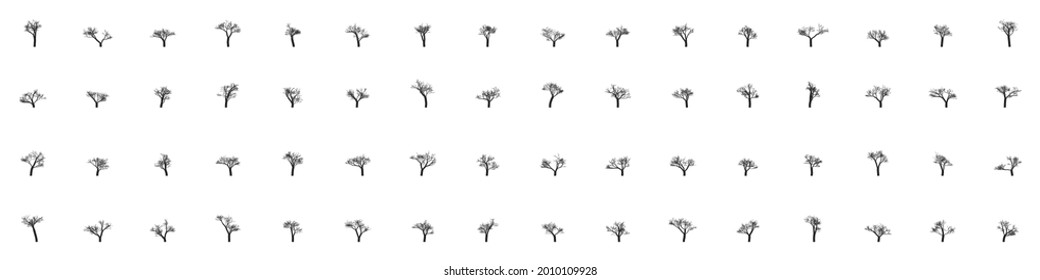 big vector set of realistic trees without leaves