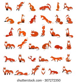 Big vector set red Foxes in different poses, isolated on white